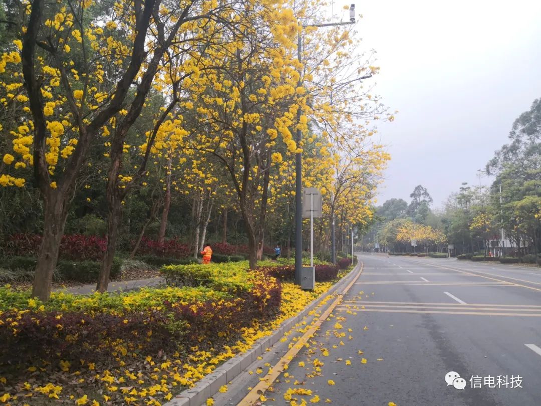 深圳加油！